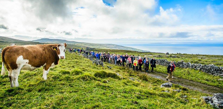 Burrenbeo symposium outdoor workshop