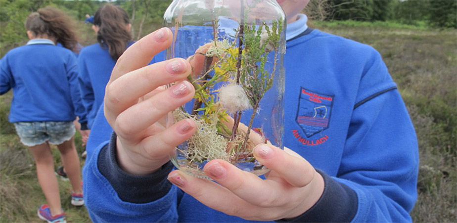 Photo_2.Killyconny_Bog