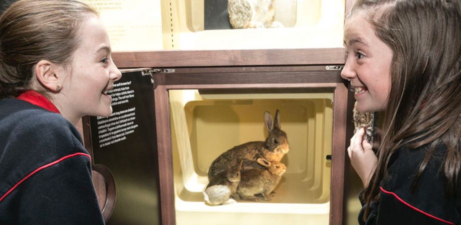 Copy of AiE Featured image-2