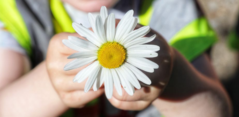 A child holds a daisy