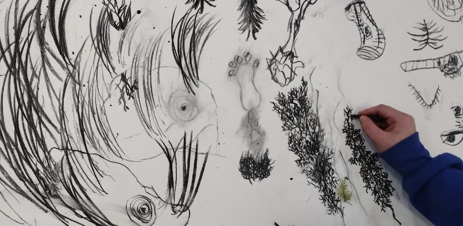 edit_Drawing plants and fauna of the bog 2 (1)