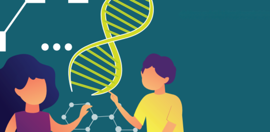 Guidance for Artificial Intelligence in Schools