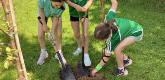 Triona Walsh Blog - Little Woodland Heights. Students from Scoil Mhuire Effin planting trees