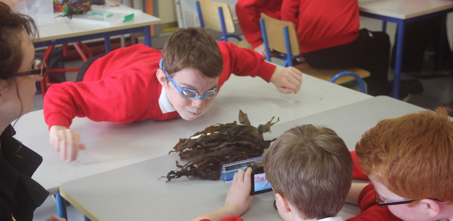 "Sea Legs" TULCA with Louise Manifold and Cregmore NS