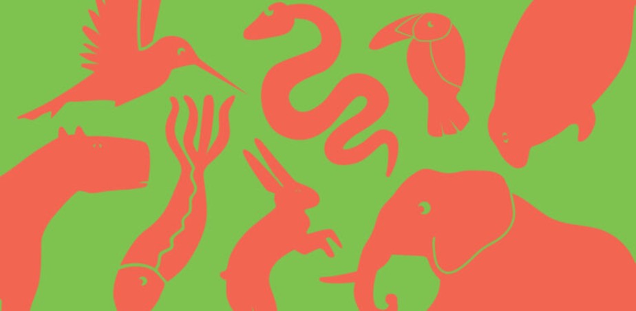 Image copyright: The Ark, The Beautiful Beasts