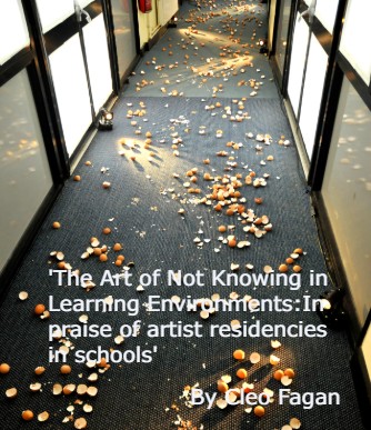 Cover_NEST,_corridor,_option_one