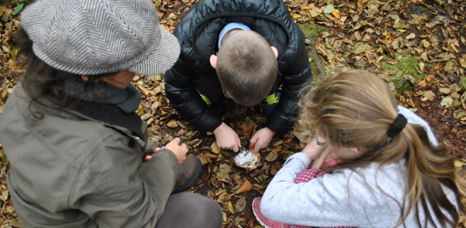 IFSA Arts Portal pic 1_edit