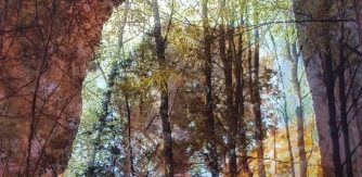 Layered photographs on acetate