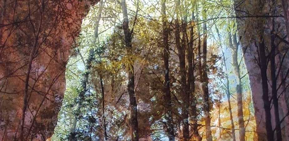 Layered photographs on acetate