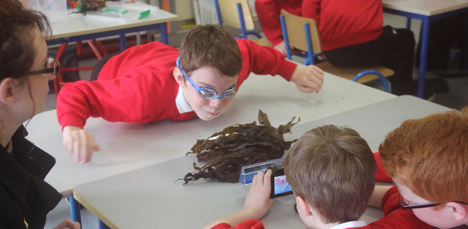 Imagining ‘sea-legs’! Imagining ‘sea-legs’!