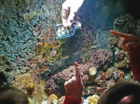 Build Your Own Unknown