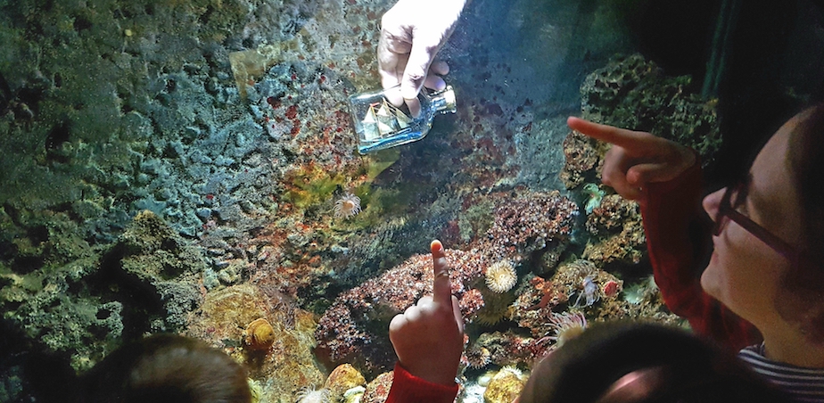 Build Your Own Unknown