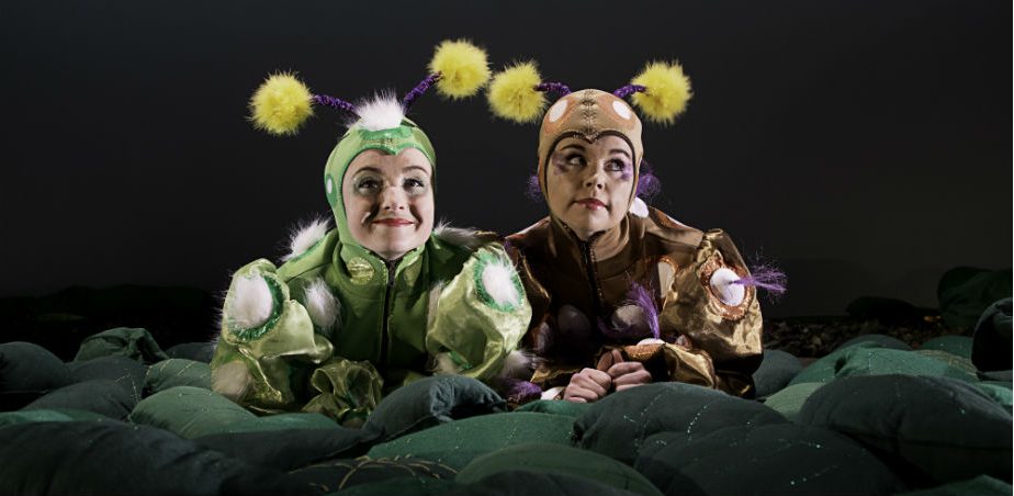 Image copyright Fidget Feet Hatch Caterpillars photographer Jym Daly