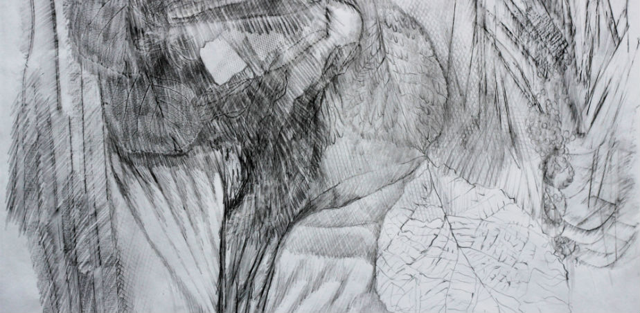 mixedEcology_JF_edit